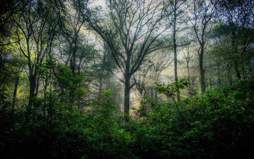 1719063 (a): :2560x1600